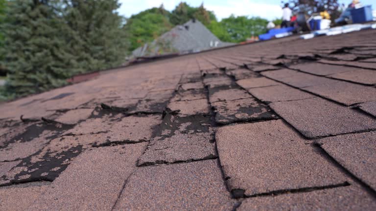 Best Chimney Flashing Repair  in Nyon Lake, CA